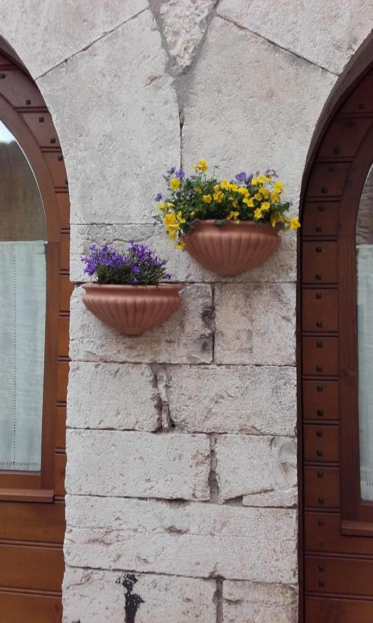 La Chiocciola Assisi Apartment Екстериор снимка