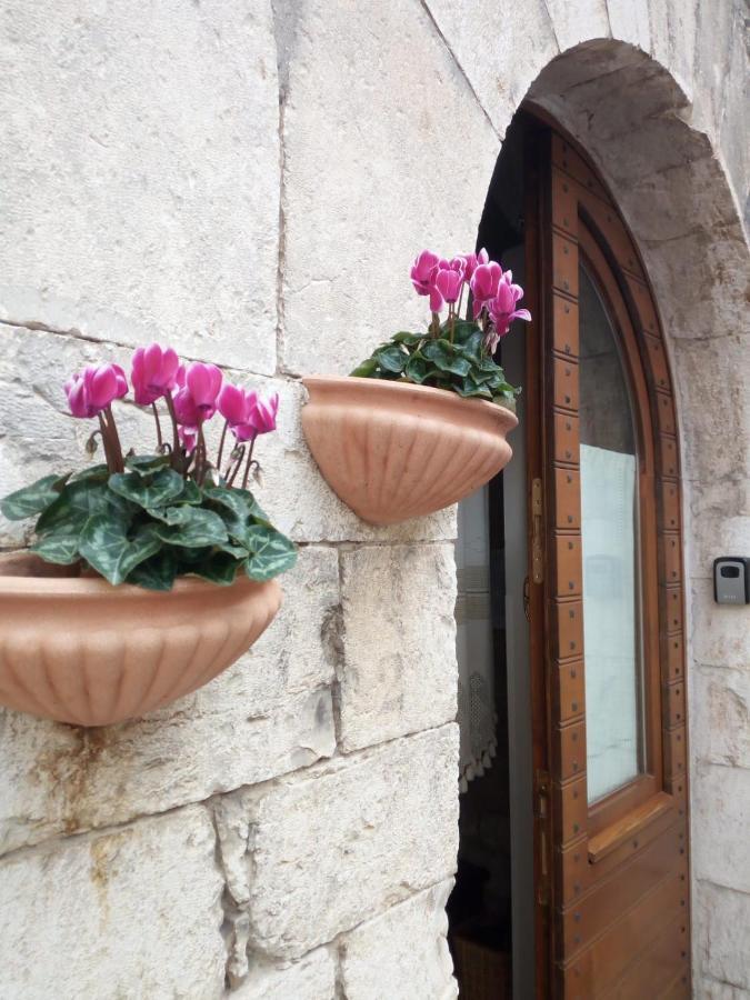 La Chiocciola Assisi Apartment Екстериор снимка